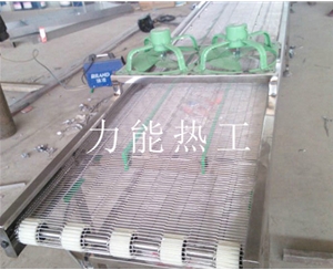 津南乙字网输送机