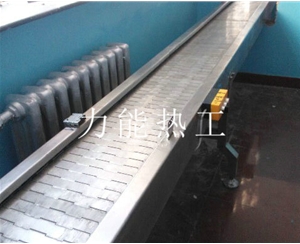 津南链板输送机