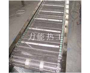 津南链网输送机