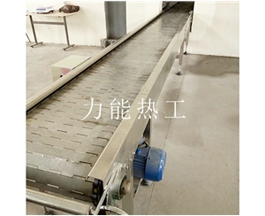 津南链板输送机