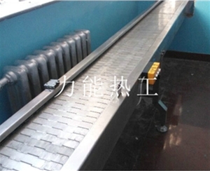 津南链板式输送机